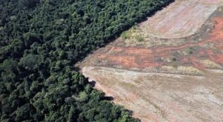globalne-ocieplenie-i-wylesienie-moga-zamienic-amazonie-w-sawanne