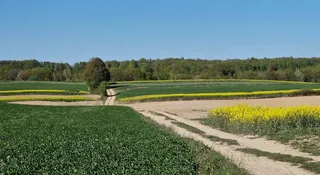 300 mln zł dla rolników. Nowa szansa na dotacje