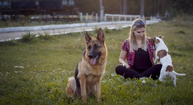 Masz czworonoga, szykuj pieniądze. Wchodzi KROPiK