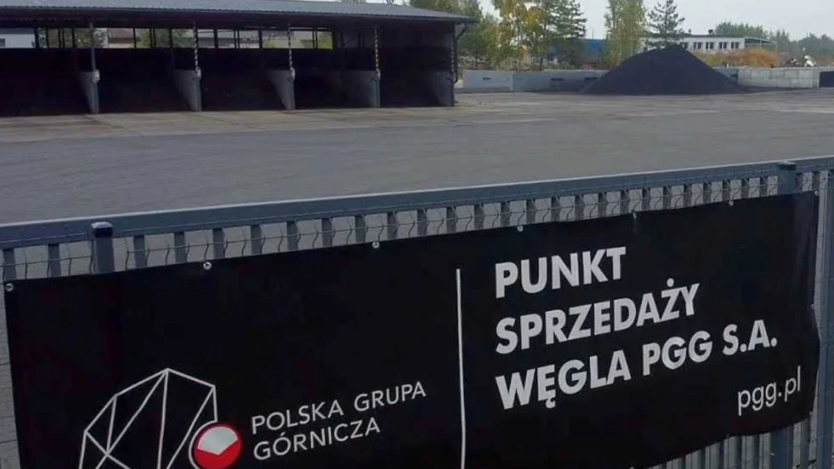 Sklep PGG już działa. Aktywni korzystają z promocji, reszta czeka na obniżki