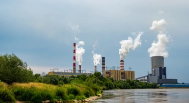 Miliony ryb giną przez elektrownię. Enea odpowiada na zarzuty