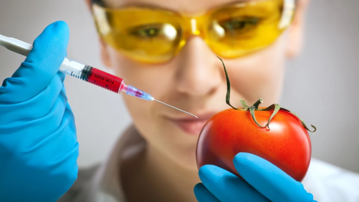 Genetyczna rewolucja. Nowe zasady GMO w Europie
