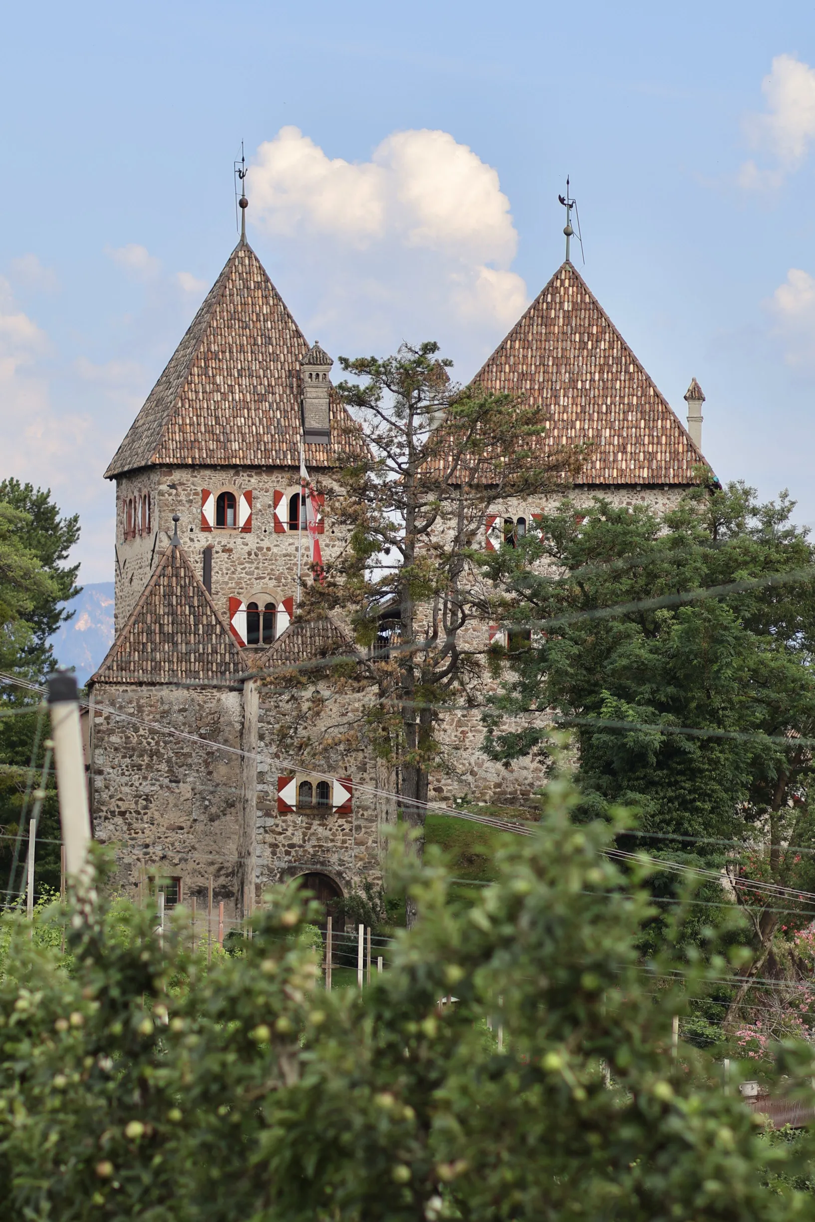https://cdn-bb.spidersweb.pl/2026/07/Xm_ODV2j.webp