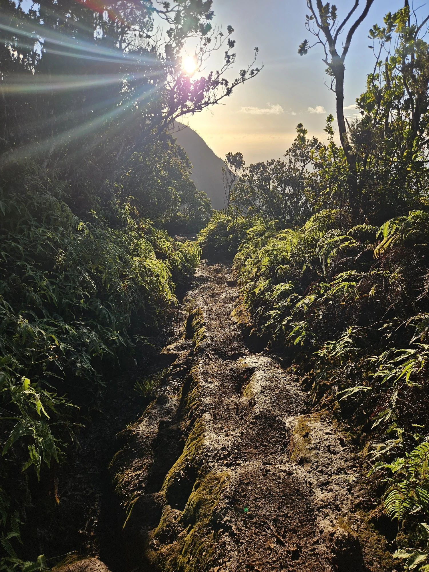 https://cdn-bb.spidersweb.pl/2026/07/hike-zegarek.jpg