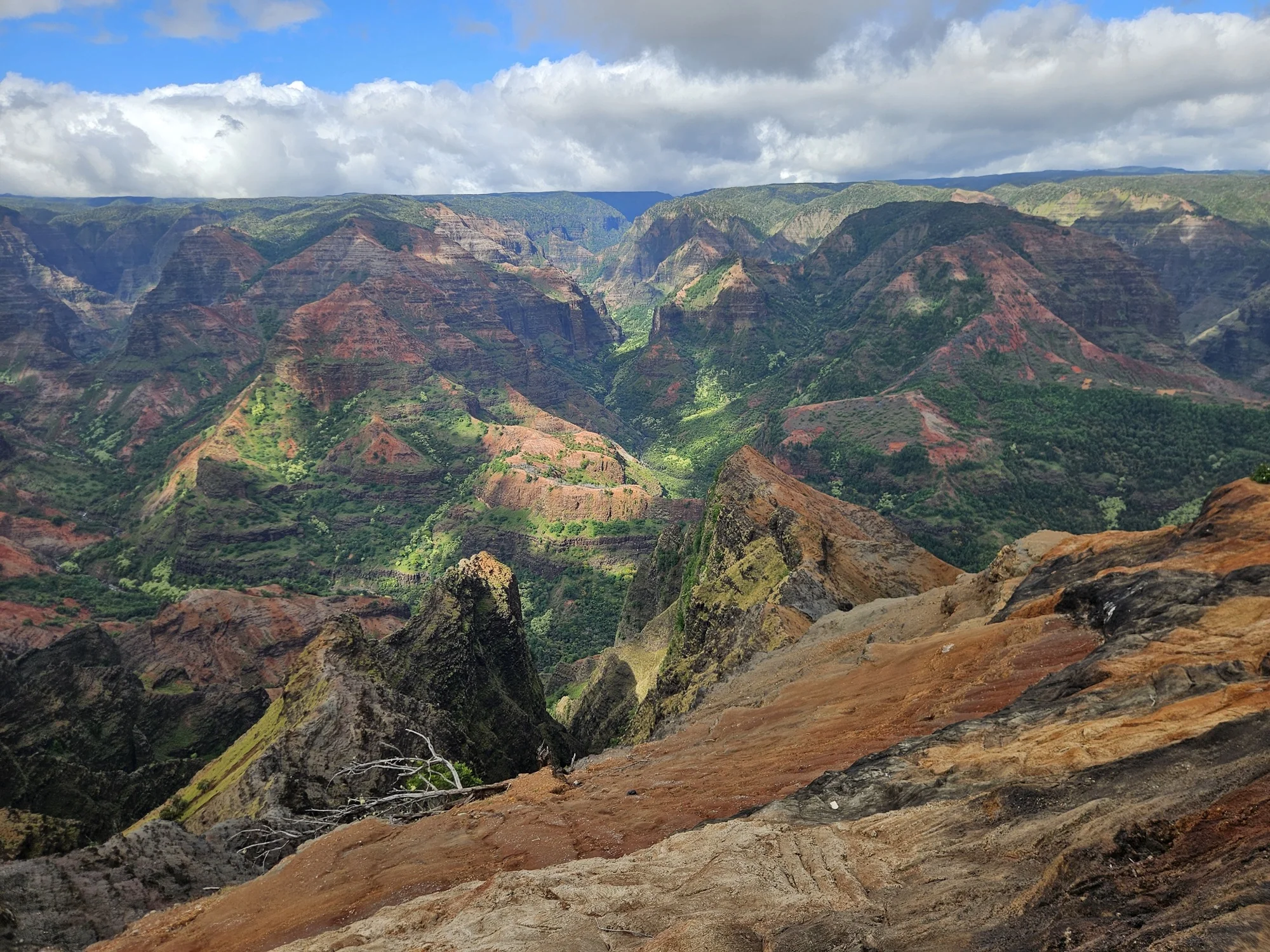 https://cdn-bb.spidersweb.pl/2026/07/kauai-kanion-9-3.jpg