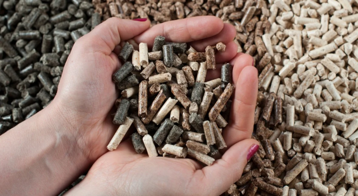 Image for Co tu się wyprawia? Środek lata, a Polacy stoją w kolejkach po pellet