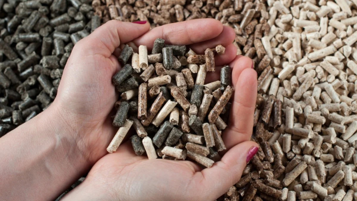Co tu się wyprawia? Środek lata, a Polacy stoją w kolejkach po pellet