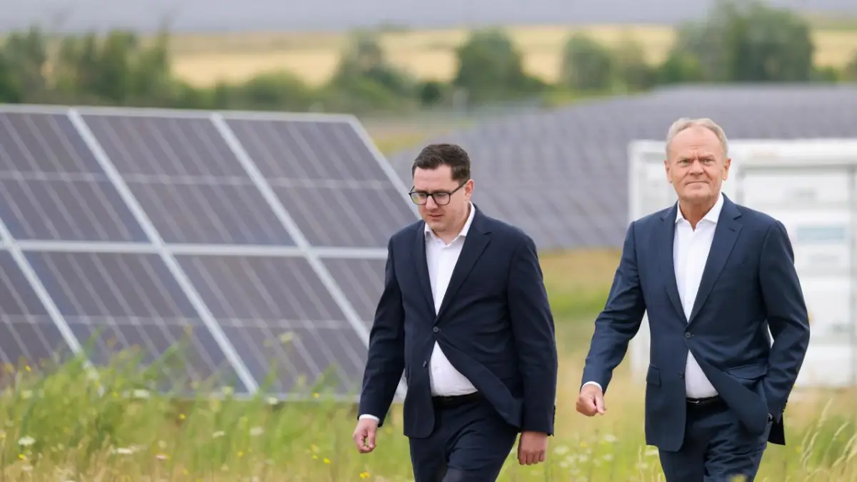 Rząd nie chce pokazać raportu o pellecie. Idziemy po niego z ustawą w ręku