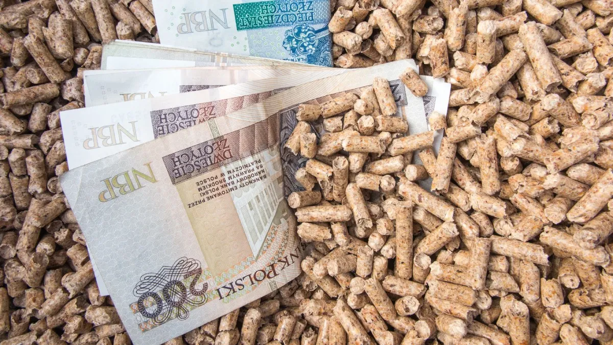 Będzie afera. Wiem, dlaczego rząd nie chce pokazać raportu o pellecie. Padają w nim zawrotne kwoty