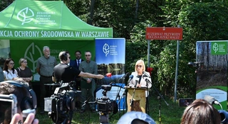 Powstał nowy rezerwat pod Warszawą. Dolina Rzeki Małej zachwyca