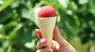 sorbet VAT